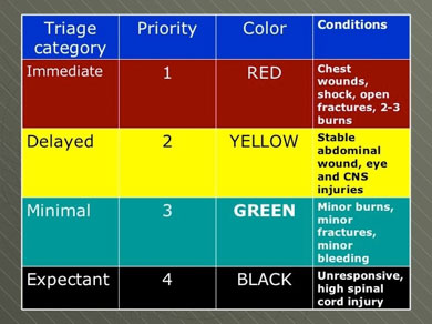 1 - Triage Matrix